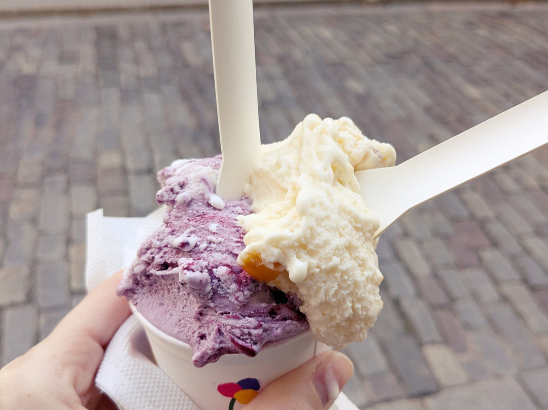 Letiz Gelato
