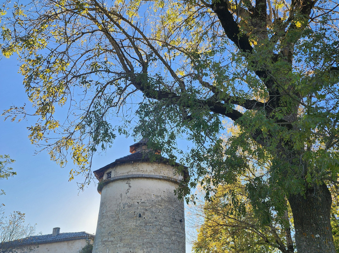 Domaine de L'Isle Basse主图