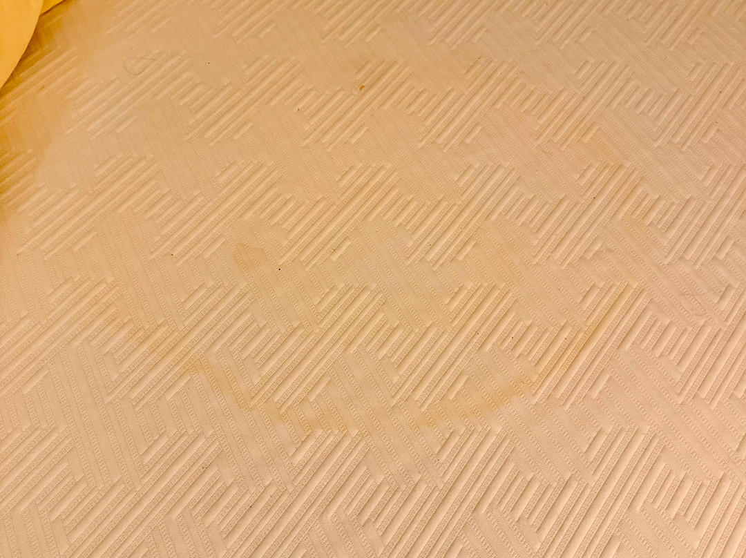 希瑟曼小屋酒店主图