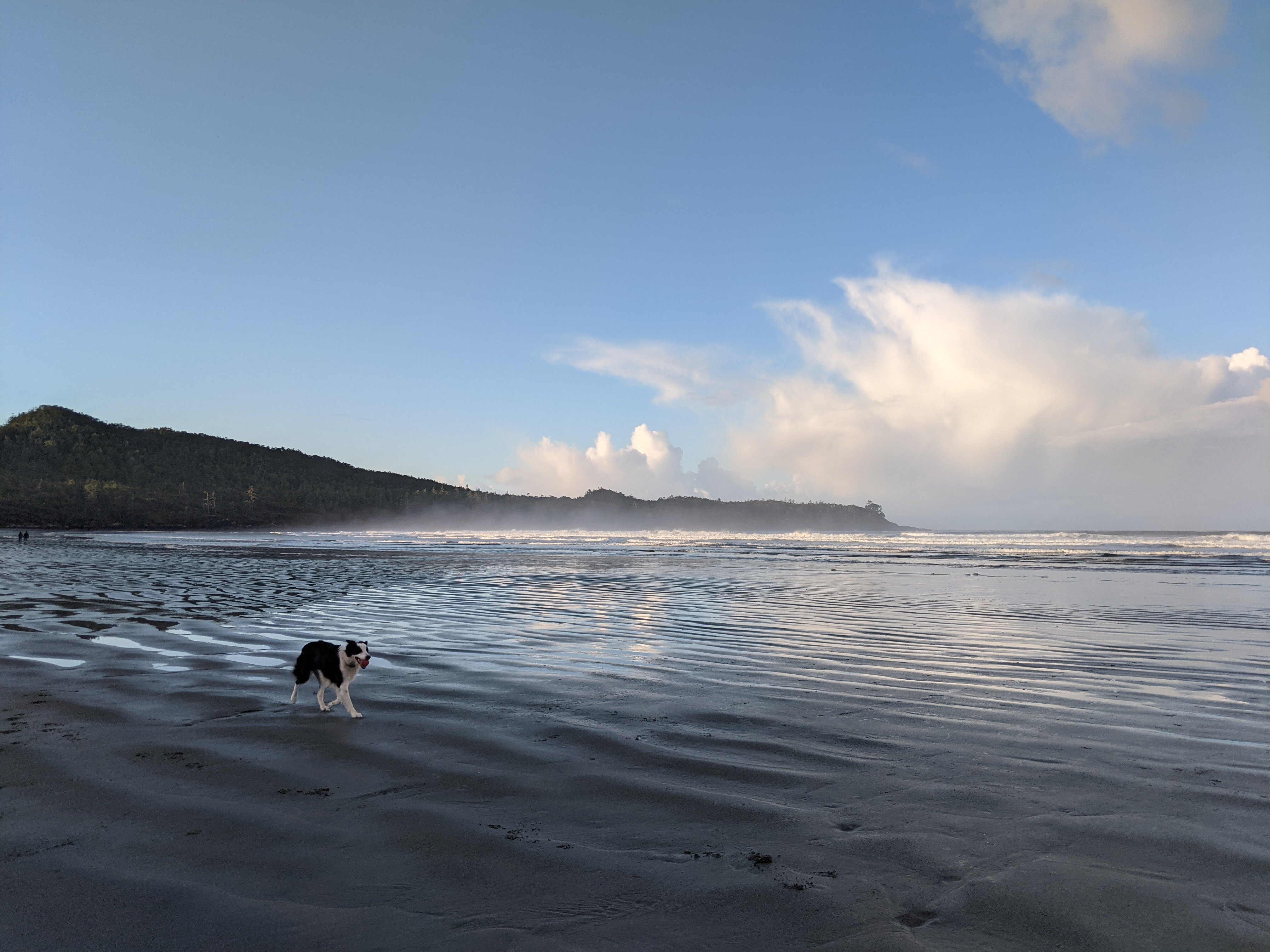 长滩度假旅舍-泳池
