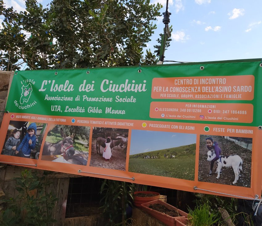 L'Isola dei Ciuchini