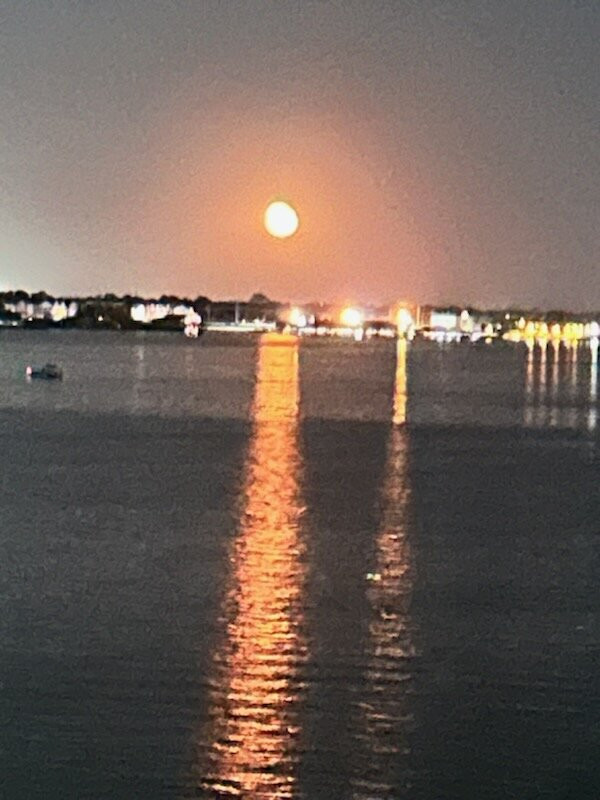 Sailaway Clear Lake Charters-克马必去景点