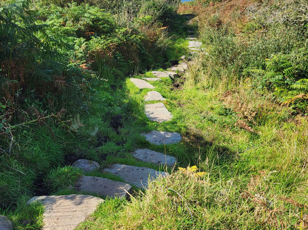 Fisherman's Walk景点图片