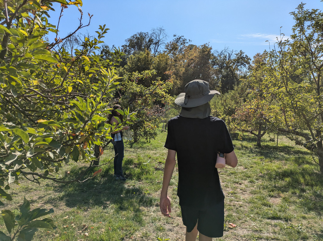 Riley's Apple Farm-Oak Glen必去景点