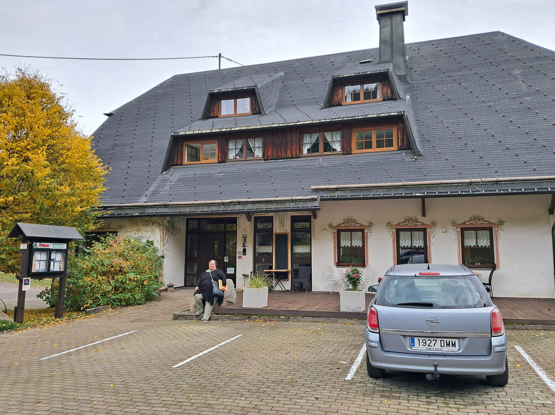 荷恩加斯特霍夫格鲁纳鲍姆酒店主图