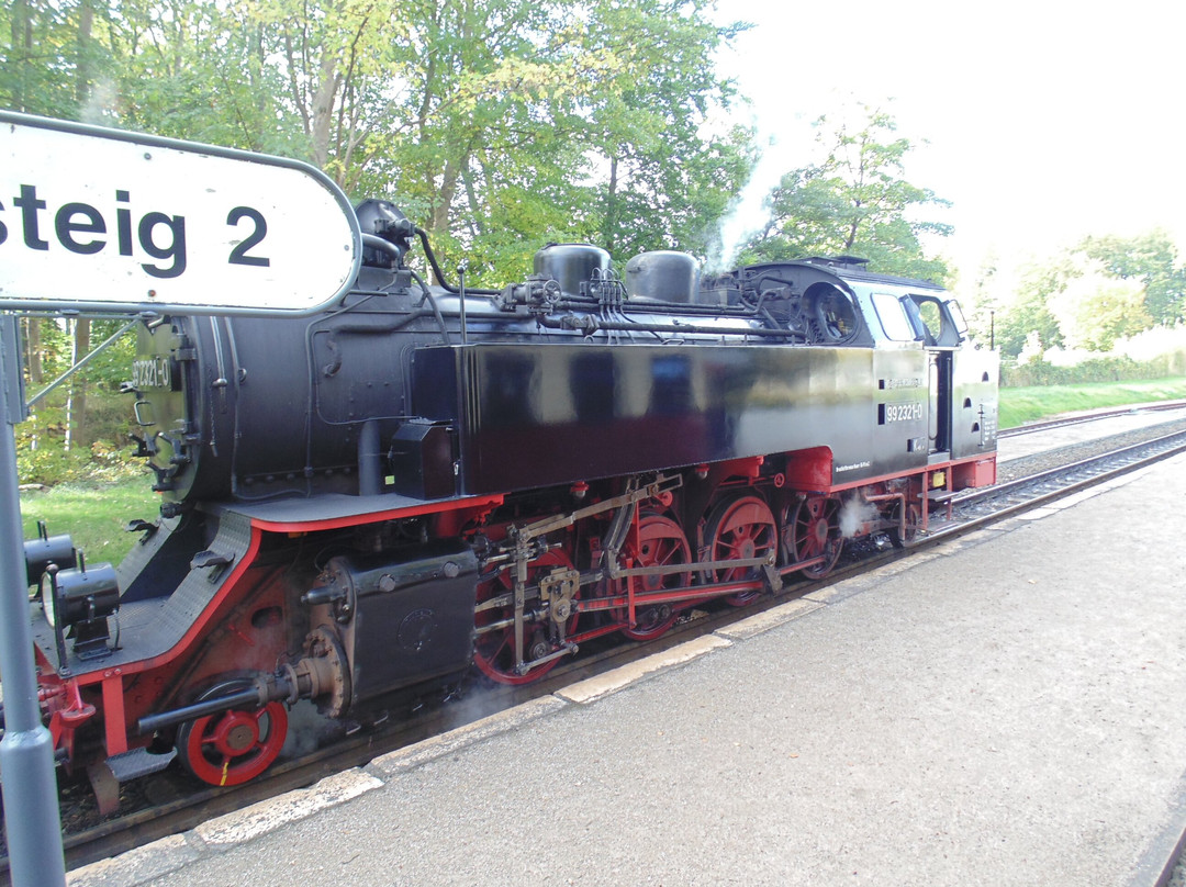 The Mollie Steam Train景点图片