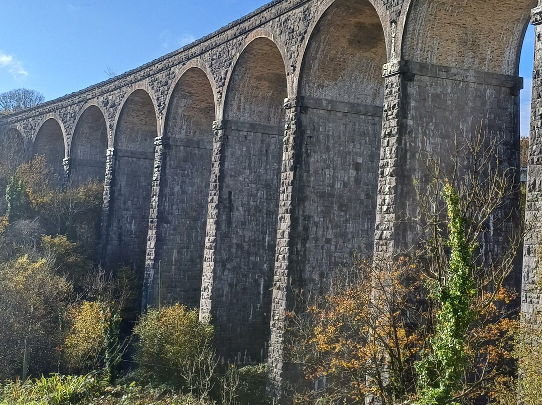 Cefn Coed Viaduct景点图片