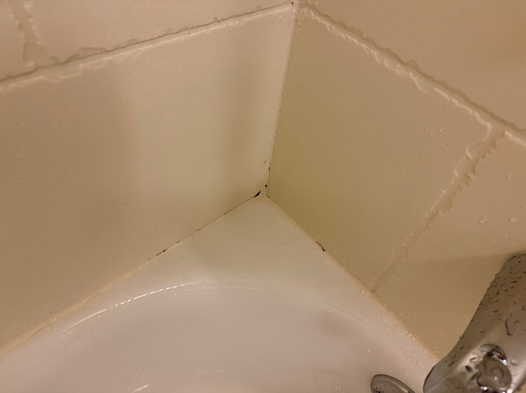 波赛尔/西雅图希尔顿花园酒店主图