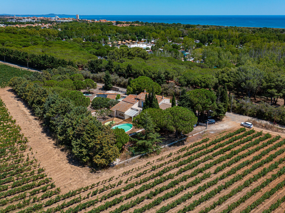 Domaine La Yole Wine Resort