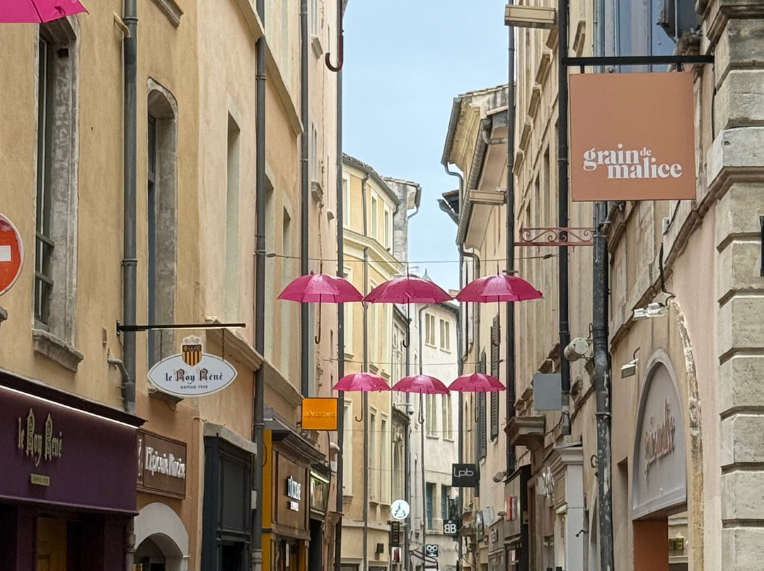 Domitia Tours-马赛必去景点