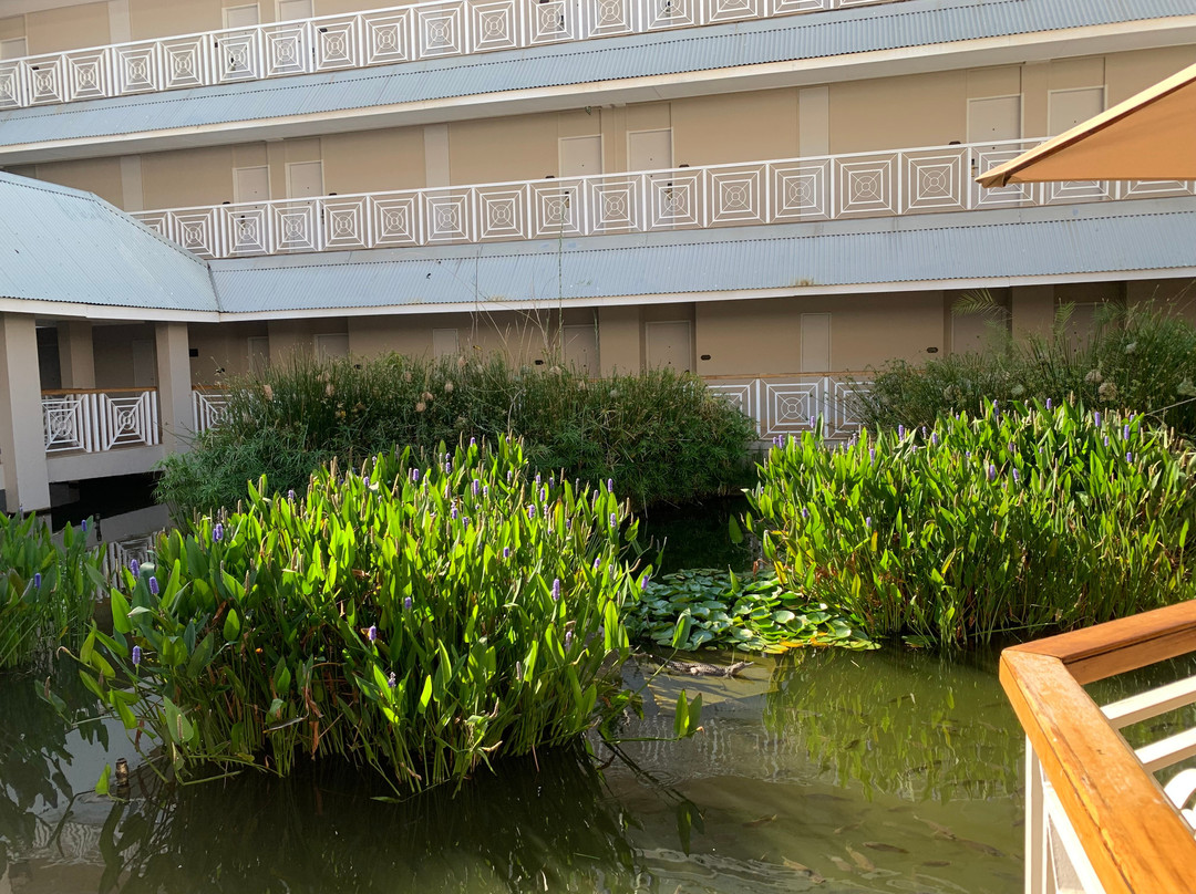 里奇韦南方太阳酒店主图