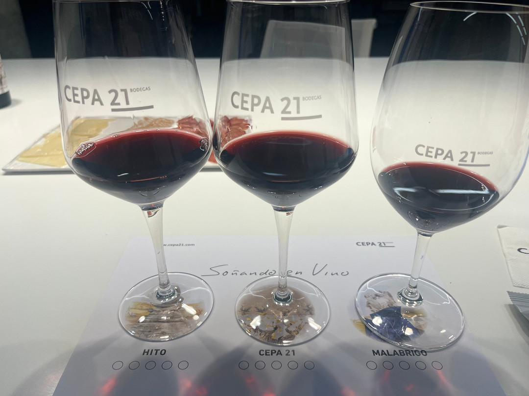 Bodegas Cepa 21景点图片