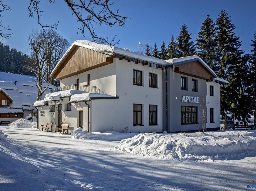 Horský Hotel Apidae