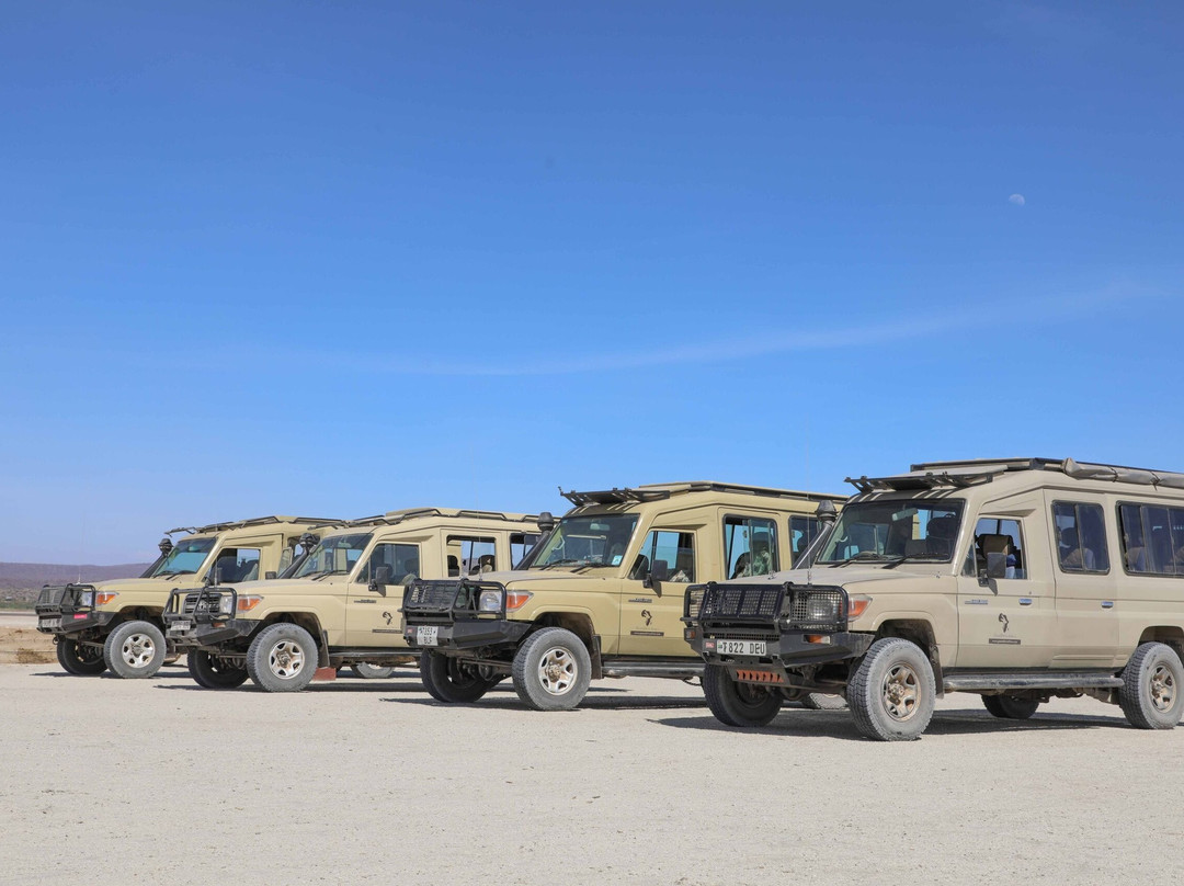 Apollo Safaris