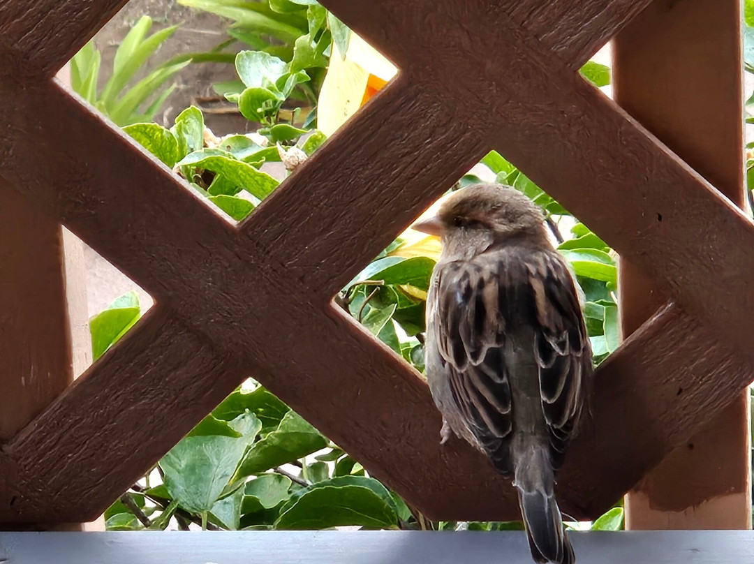 Hotel Moloka'i主图