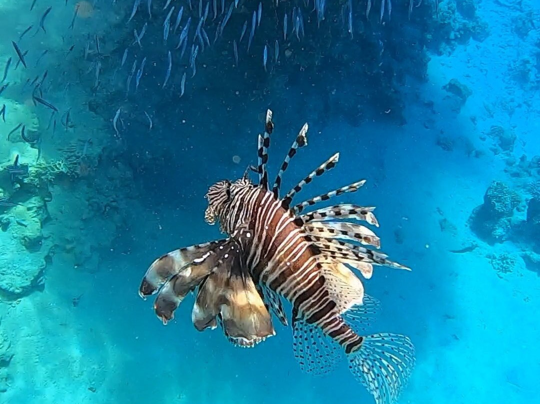 Apnea Center景点图片