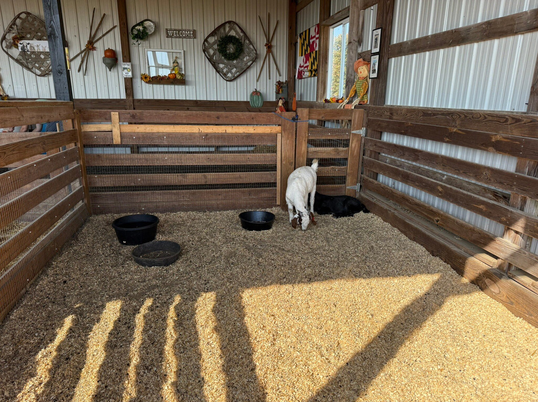 Bowles Farm Corn Maze-Clements必去景点