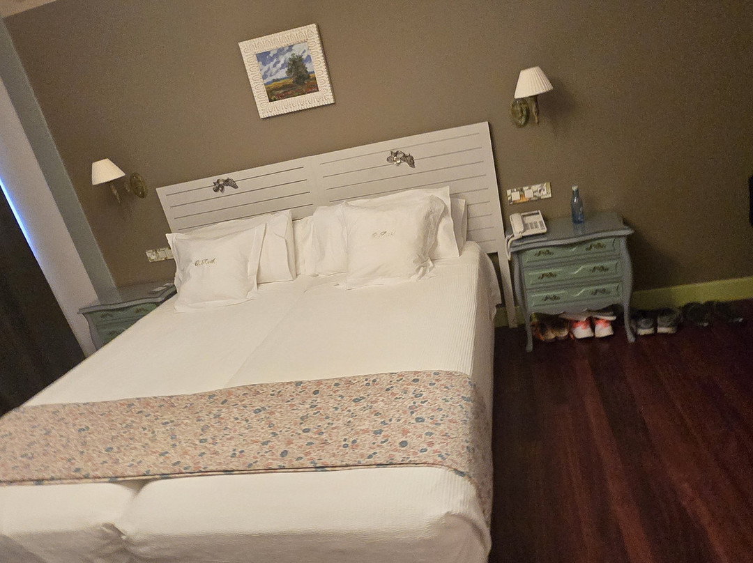 Hotel Quinta de San Amaro主图