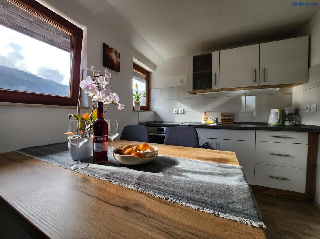 Apartments Irena
