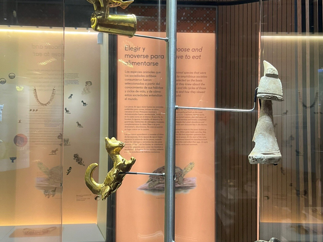 Museo del Oro Zenu-卡塔赫纳必去景点