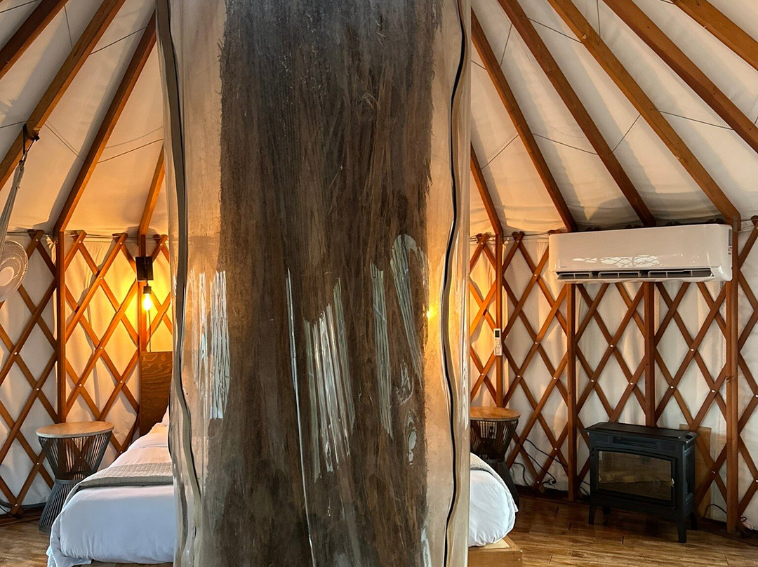 Cypress Valley Canopy Tours-Spicewood必去景点