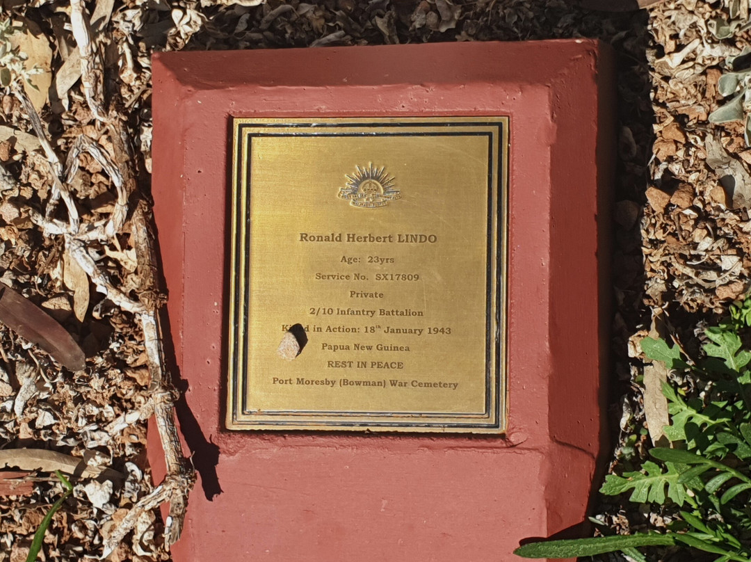 Cradock War Memorial景点图片