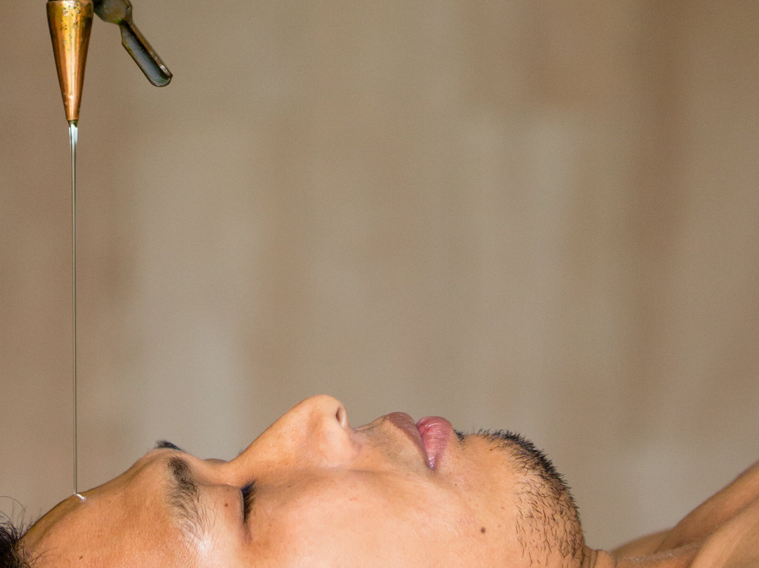 Amrtasiddhi Ayurvedic Center景点图片