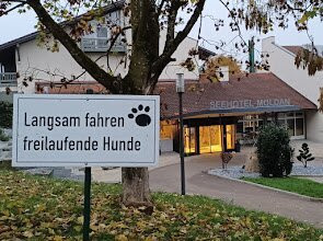 Seehotel Postmunster主图