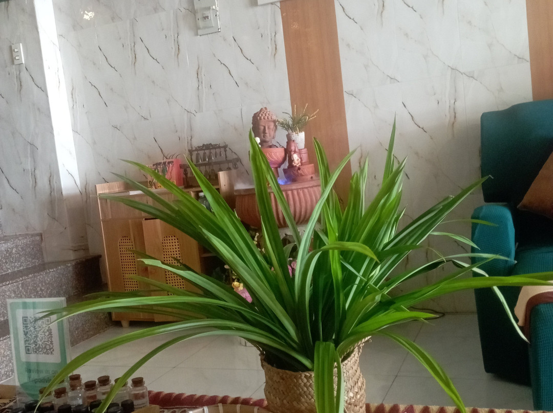New Life Spa - Suc Song Moi Yoga & Spa-An Thoi必去景点