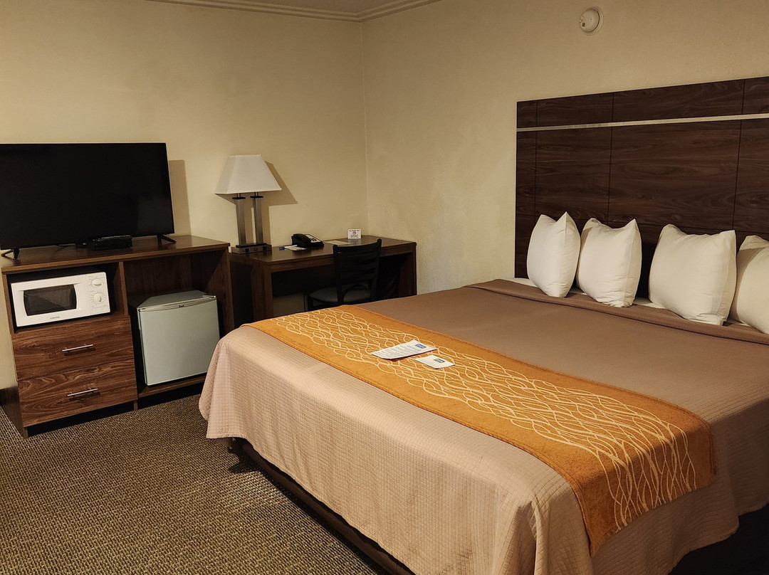 普朗霍恩洛治罗德威旅馆主图