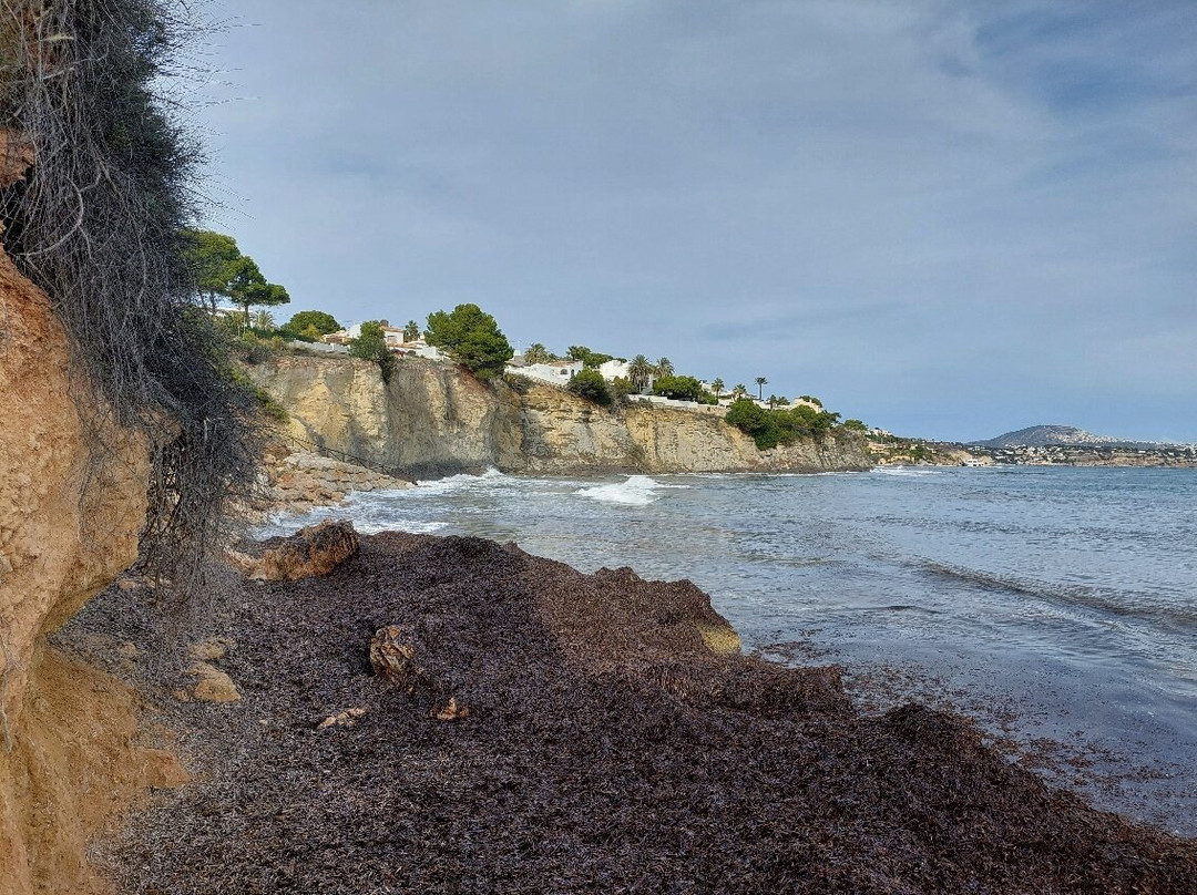 Paseo Ecologico Principe De Asturias景点图片