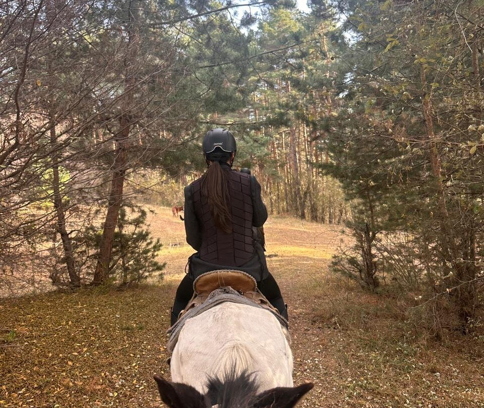 Kurko Woods Ranch & Retreat-Dusheti必去景点