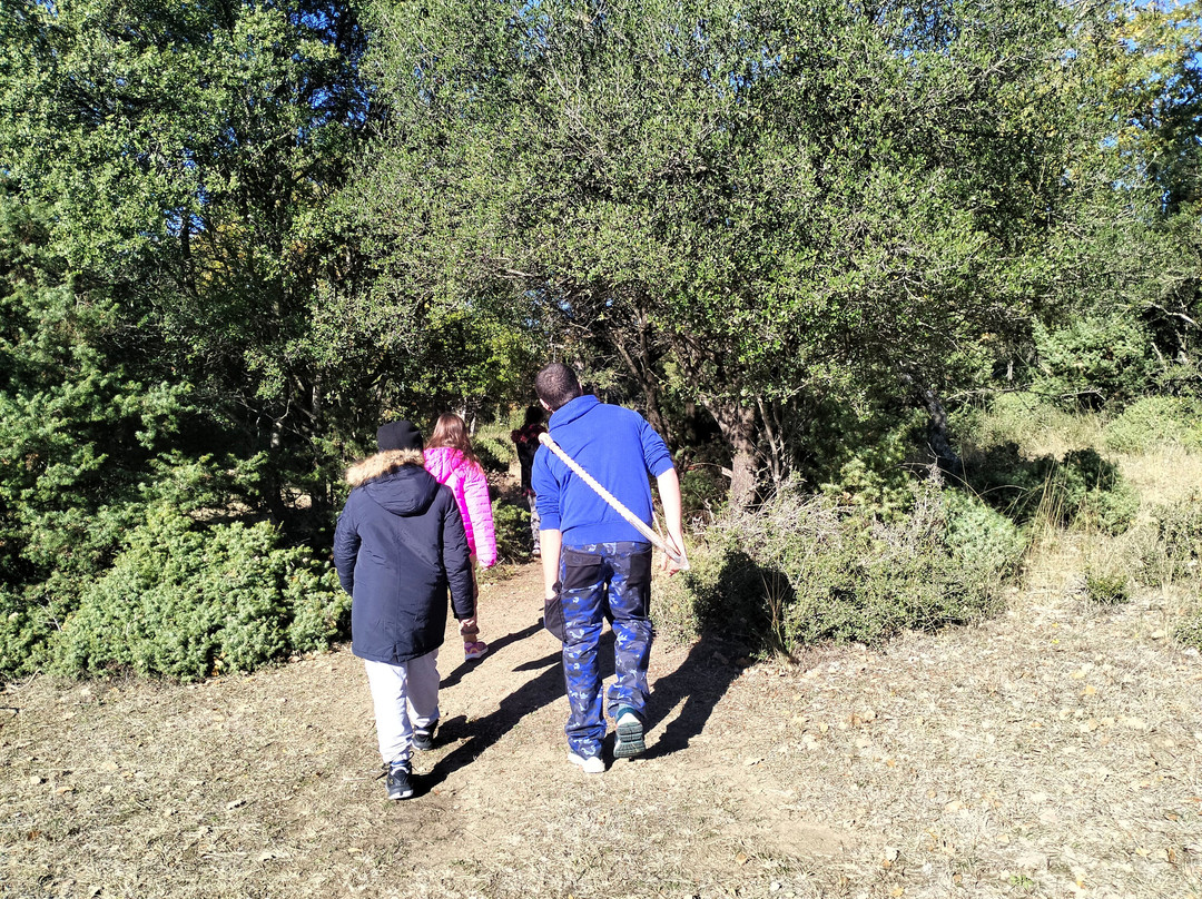 Truffle Hunting-卡兰巴卡必去景点