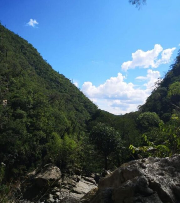 Cascadas De Ahuehuetla景点图片