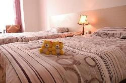 诸城市酒店住宿-汉唐快捷酒店