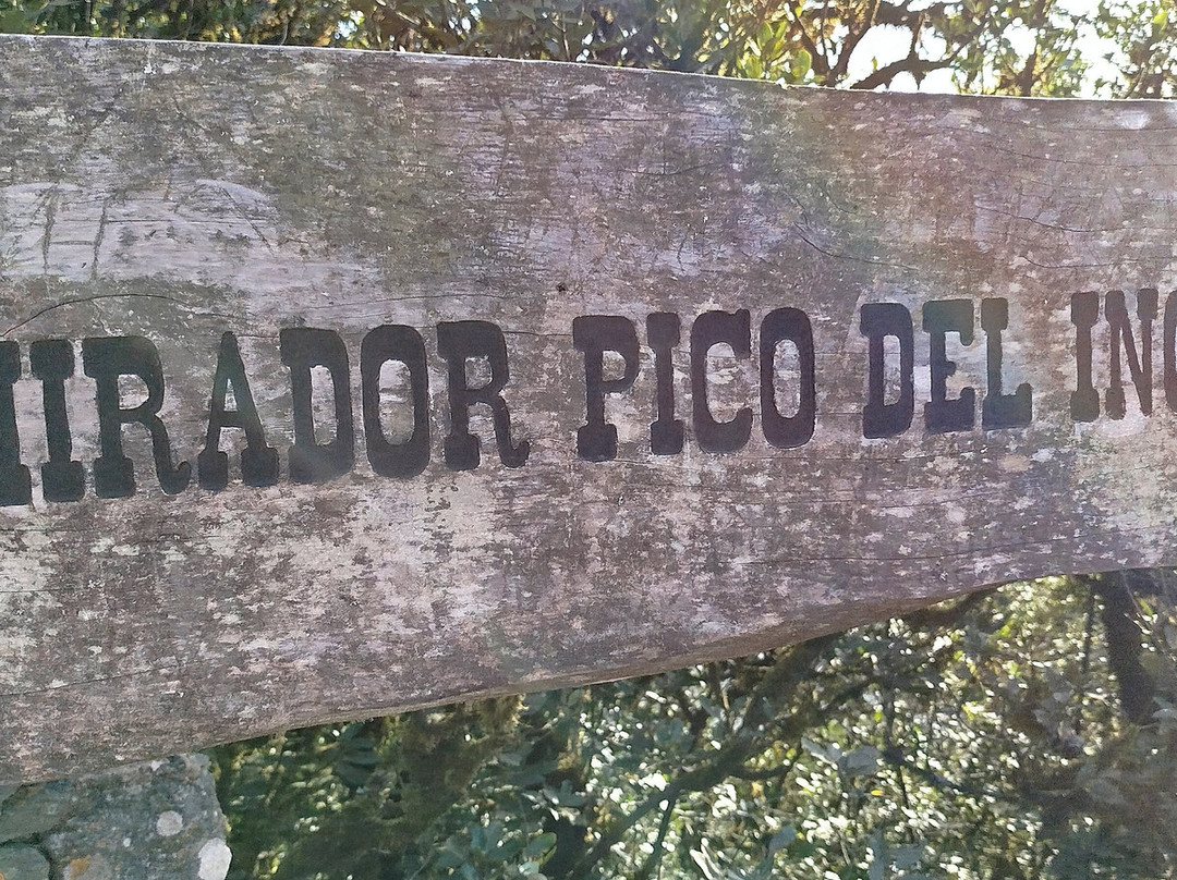 Mirador Pico del Ingles-拉古纳的圣克里斯托波尔城必去景点
