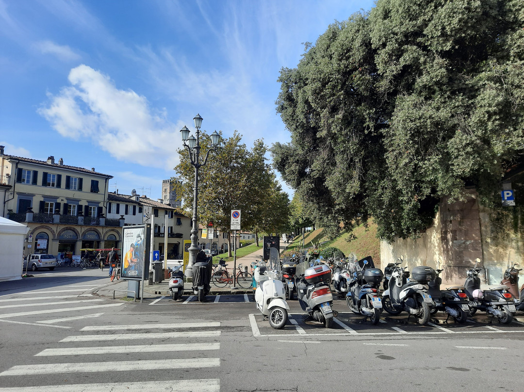 Porta di Santa Maria景点图片