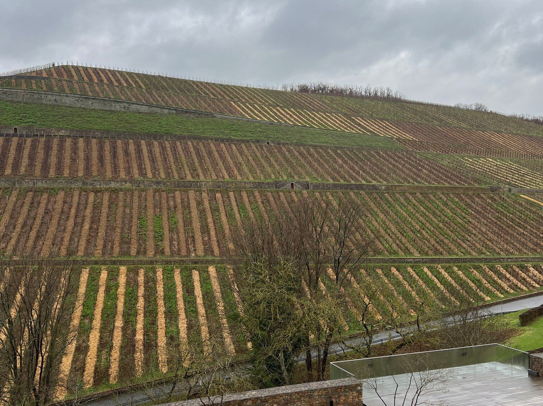 Gaestehaus Gut Hermannsberg主图