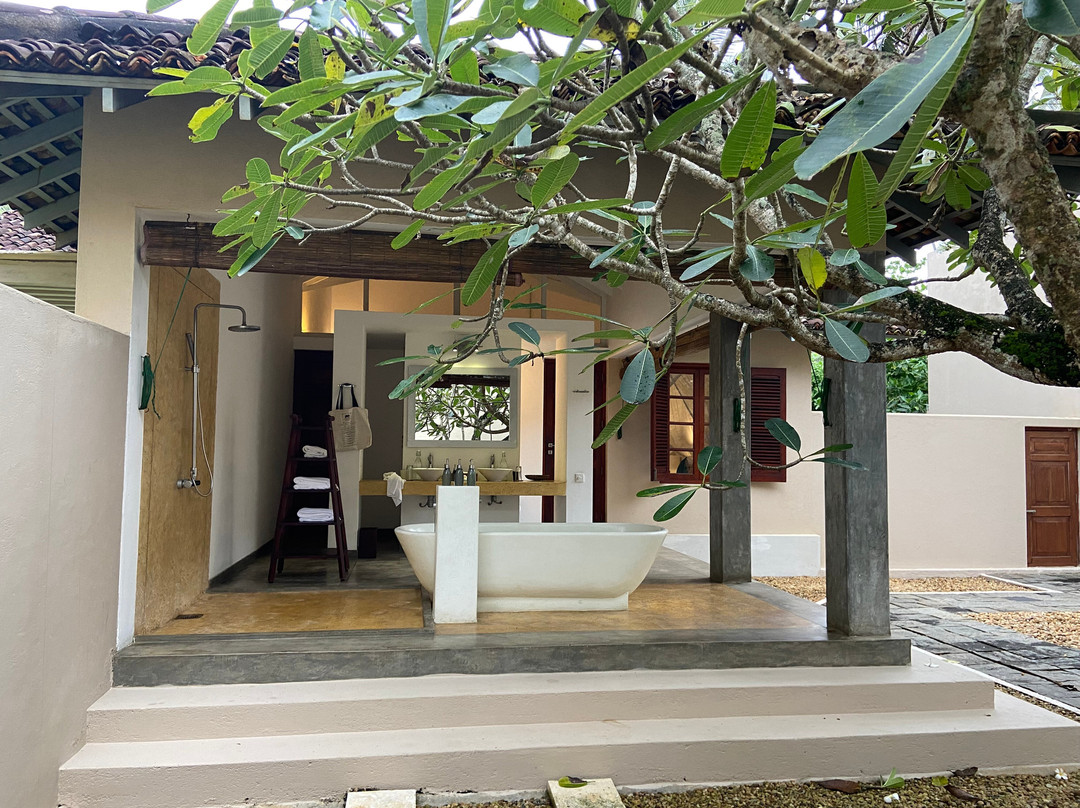 树的弗兰吉帕尼酒店主图