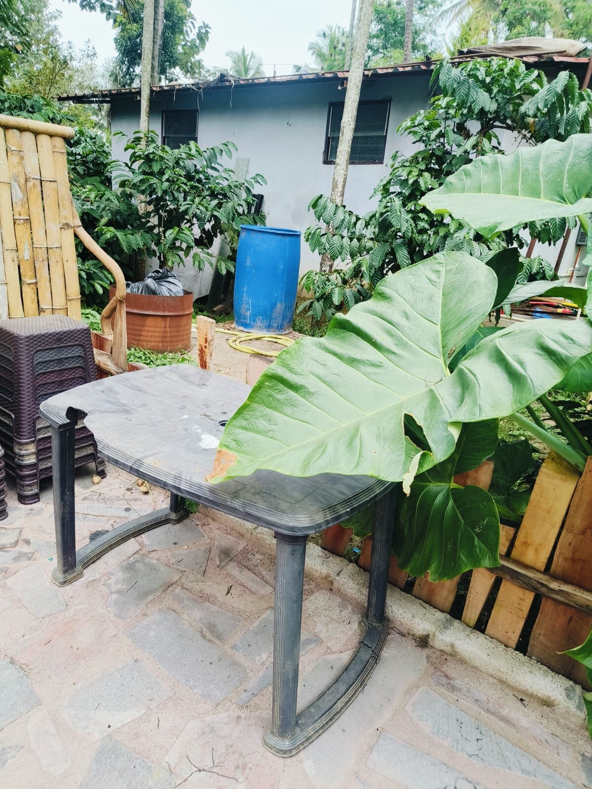 Wild Camp Resort-官方