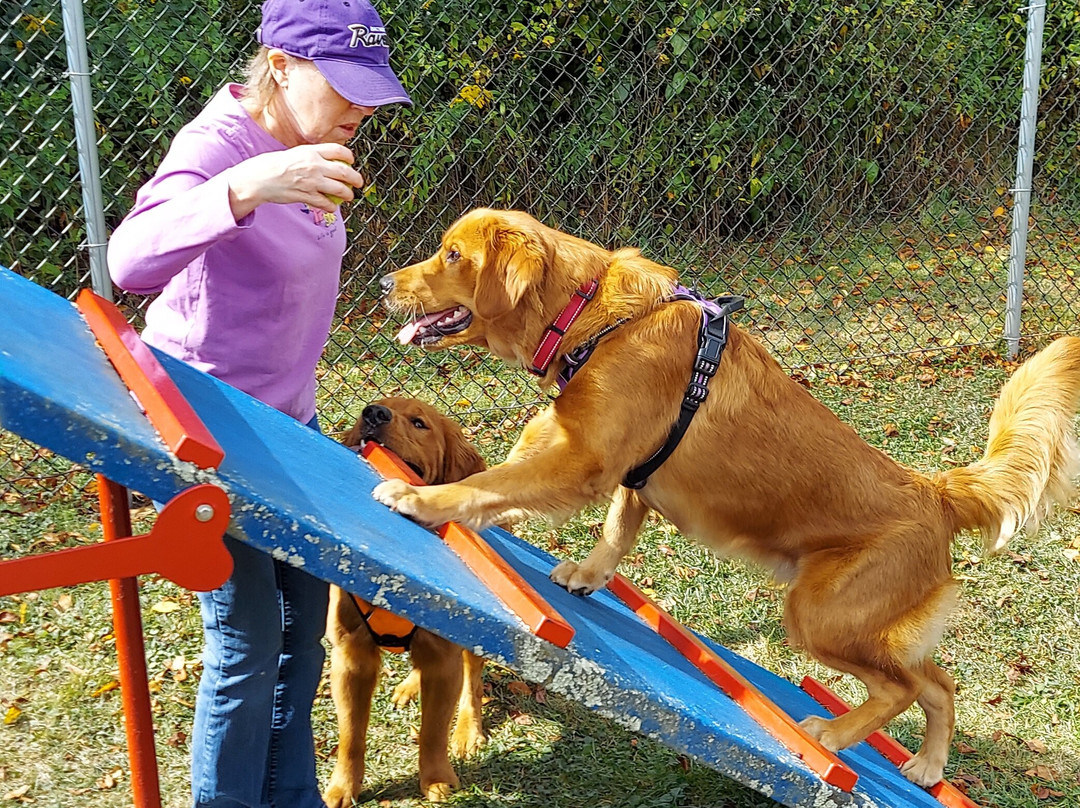 Oakland Dog Park景点图片