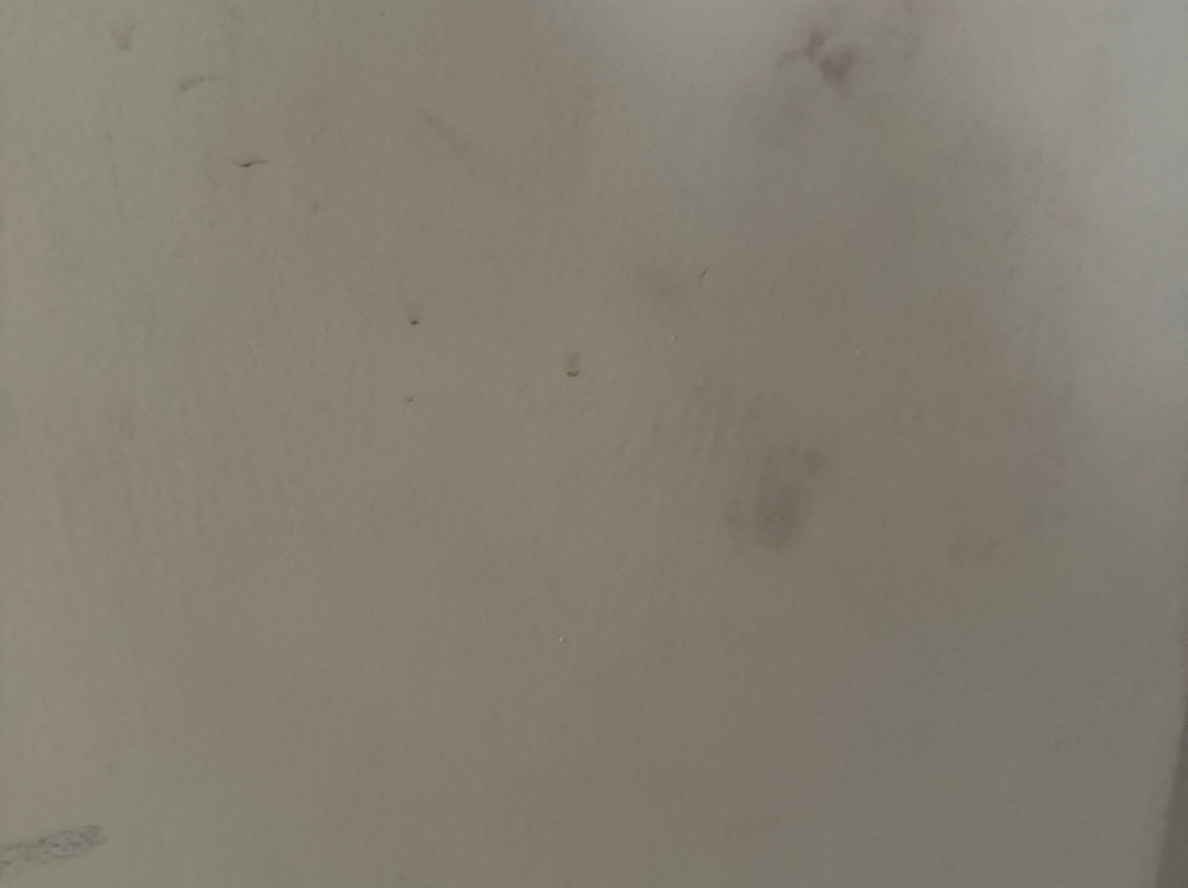 Spree Hotel Agra主图