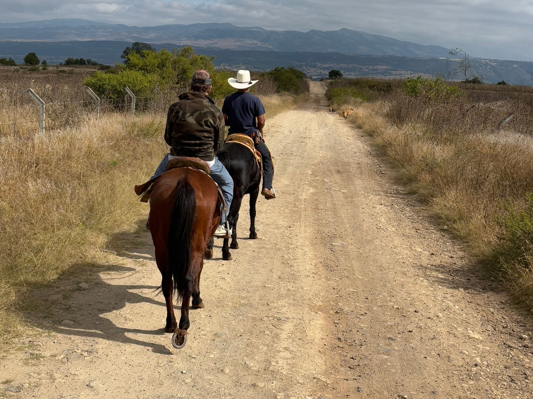 Caballos Huasca Tours-华斯卡德奥坎波必去景点