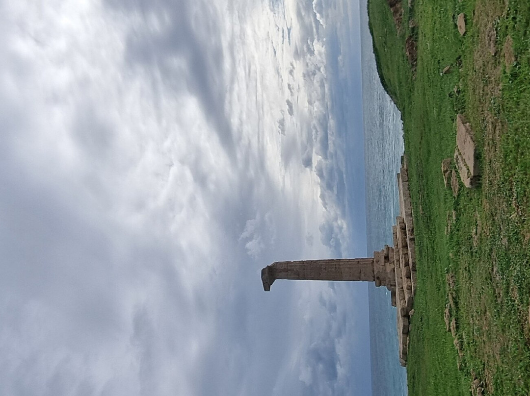 Museo e Parco Archeologico di Capo Colonna-Capocolonna必去景点