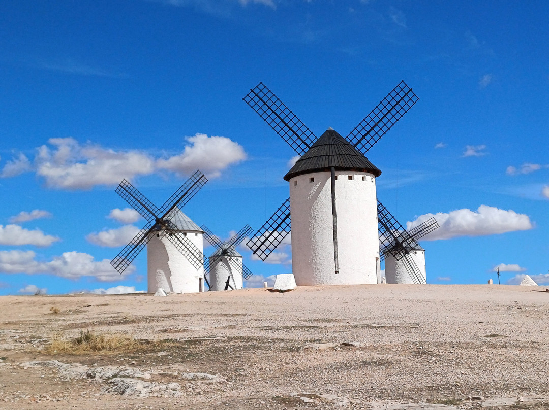 Molinos de Viento景点图片