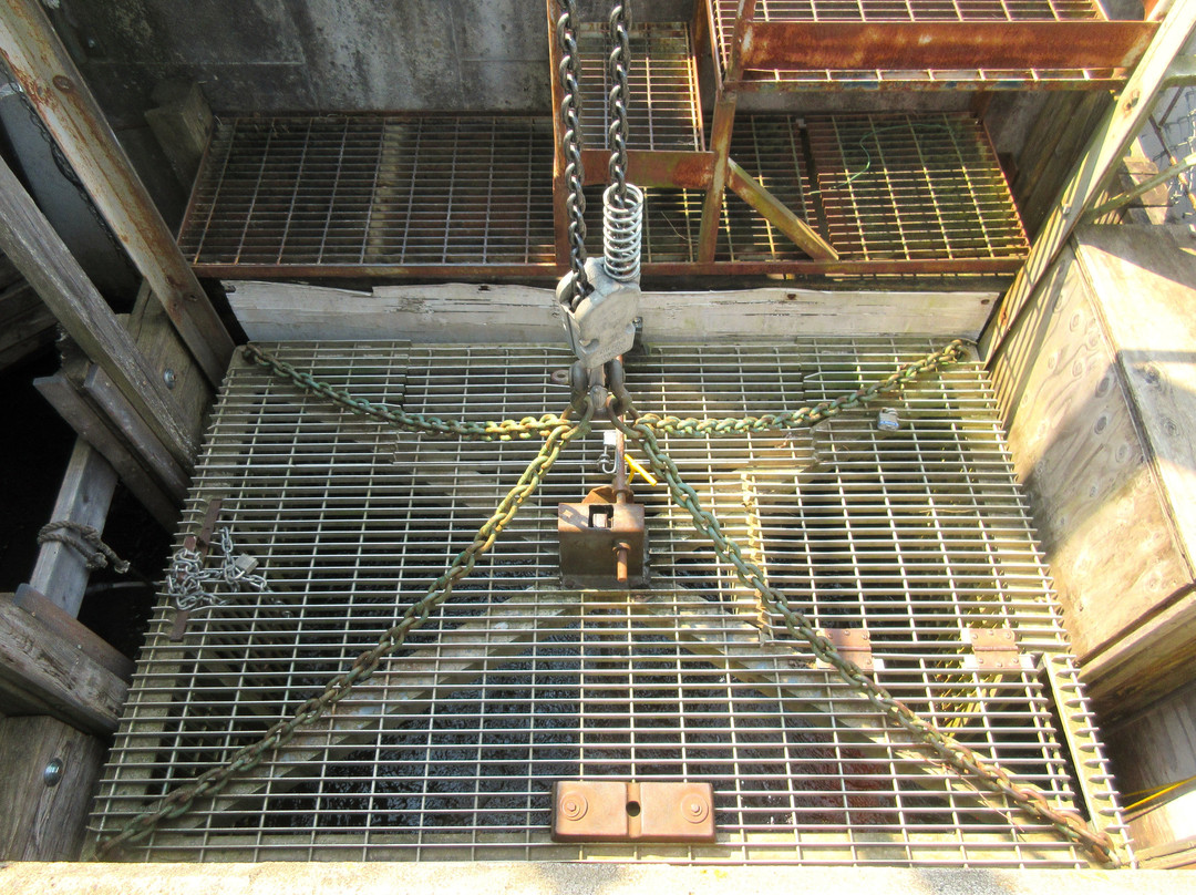 Passe Migratoire Cap Santé