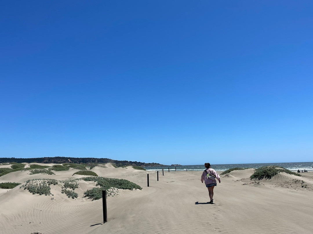 Salinas de Pullally-Papudo必去景点