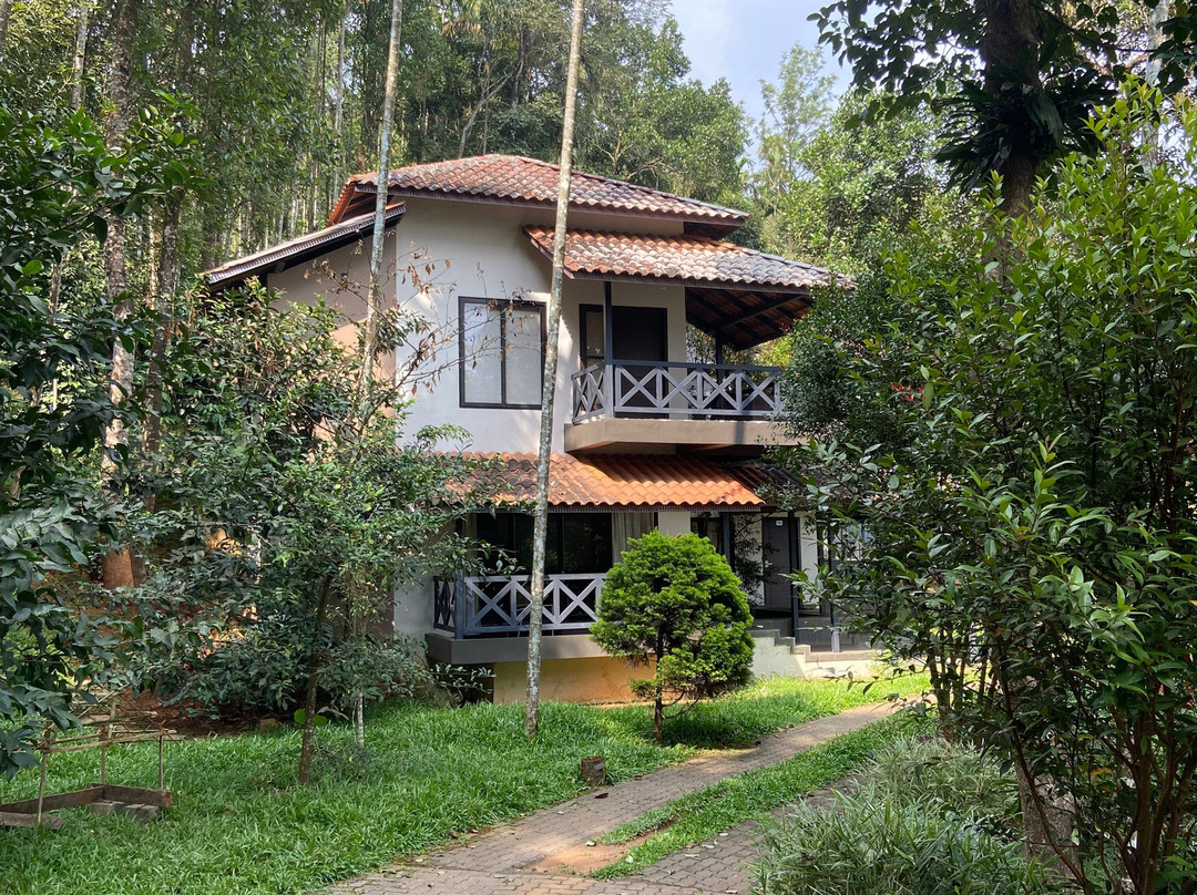 The Serenity Resort主图