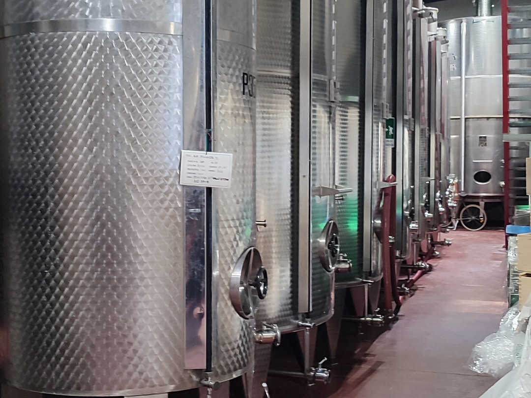 Cantine Polvanera-Gioia del Colle必去景点