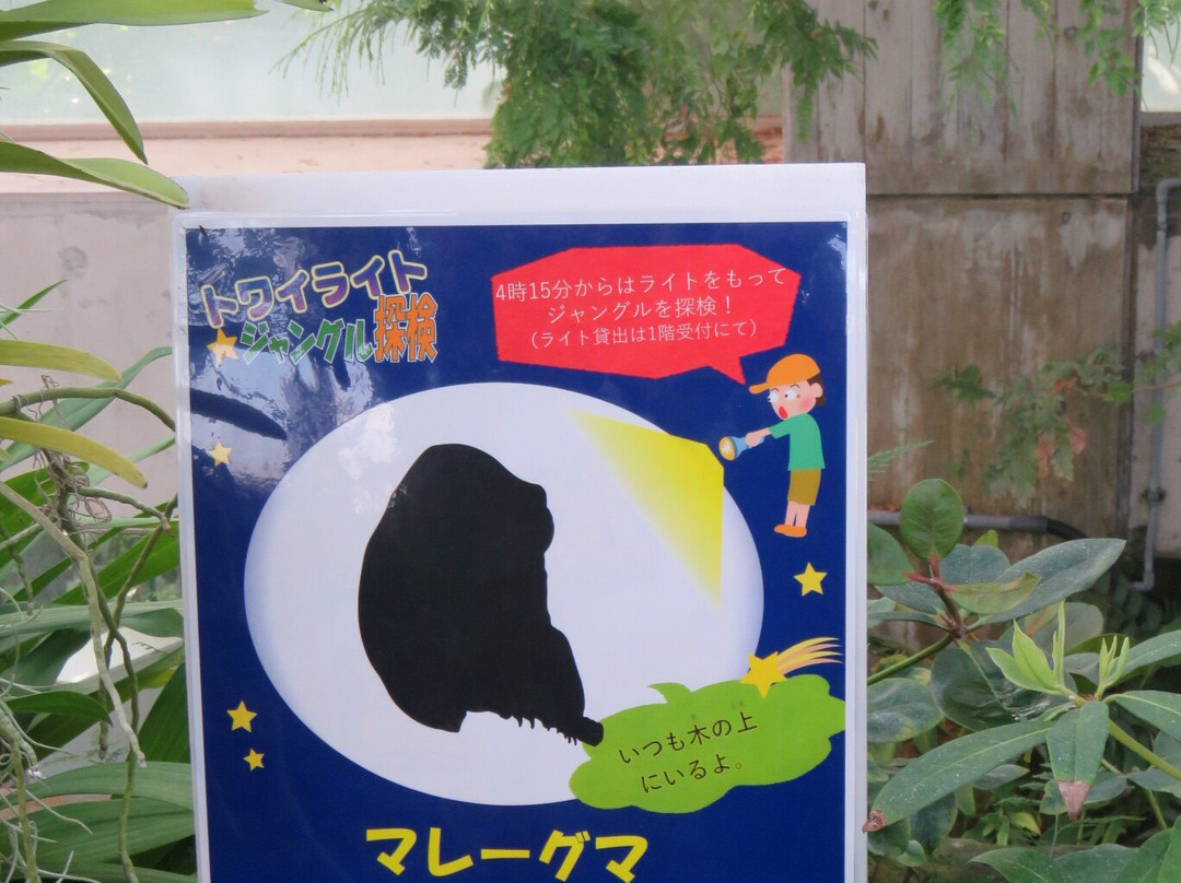 Tropical Environment Greenhouse Dome-板桥区必去景点